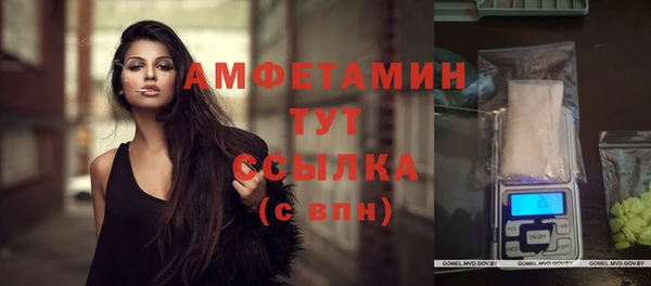 шишки Алексеевка