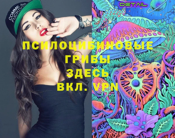круглые Алзамай