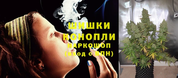 шишки Алексеевка