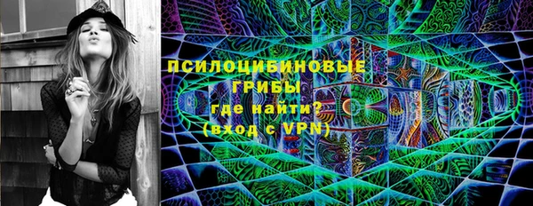 круглые Алзамай
