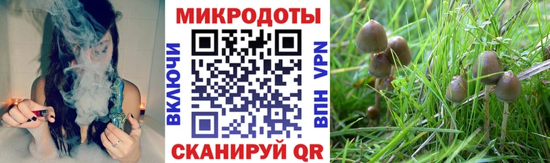 цены наркотик Ува Галлюциногенные грибы GOLDEN TEACHER